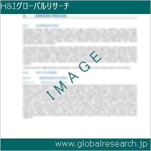 グローバルリサーチ調査レポートのイメージ